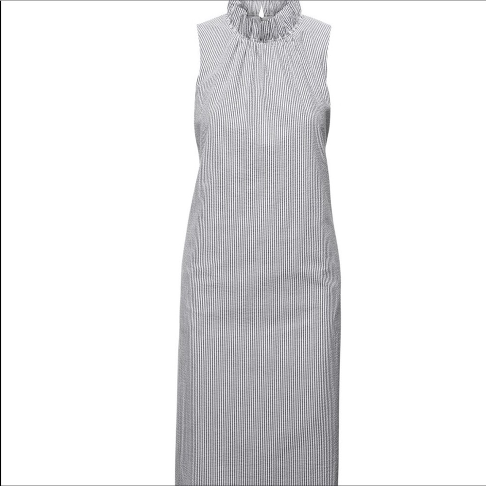 Banana Republic Seersucker Ruffle Dress